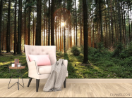 Фотообои солнце пробивается в лесу - 4