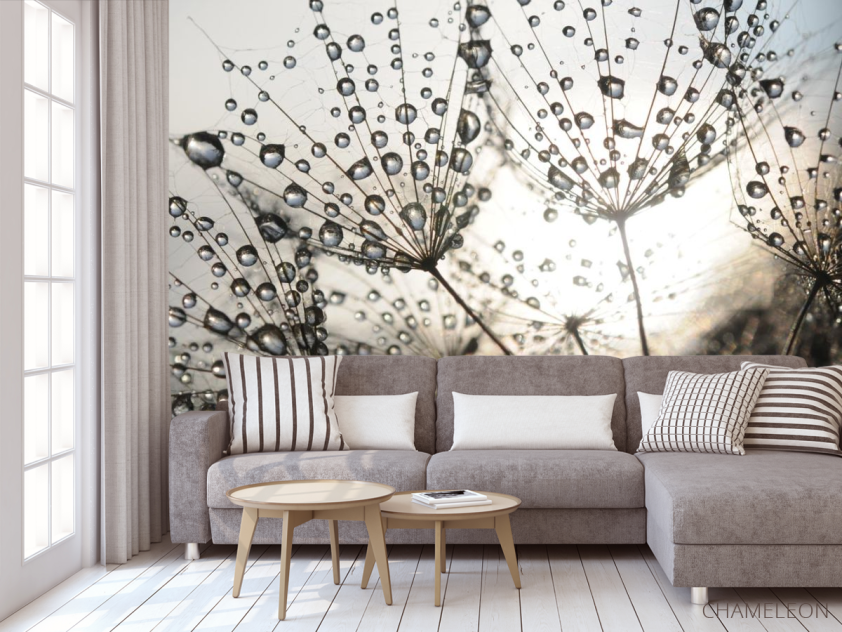 Фотообои капли и одуванчик - 3