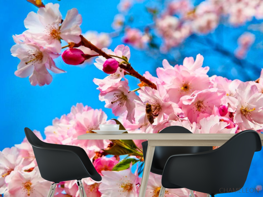 Фотошпалери Суцвіття шипшини - 1