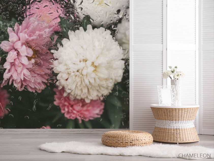 Фотошпалери Хризантеми з краплями дощу - 2