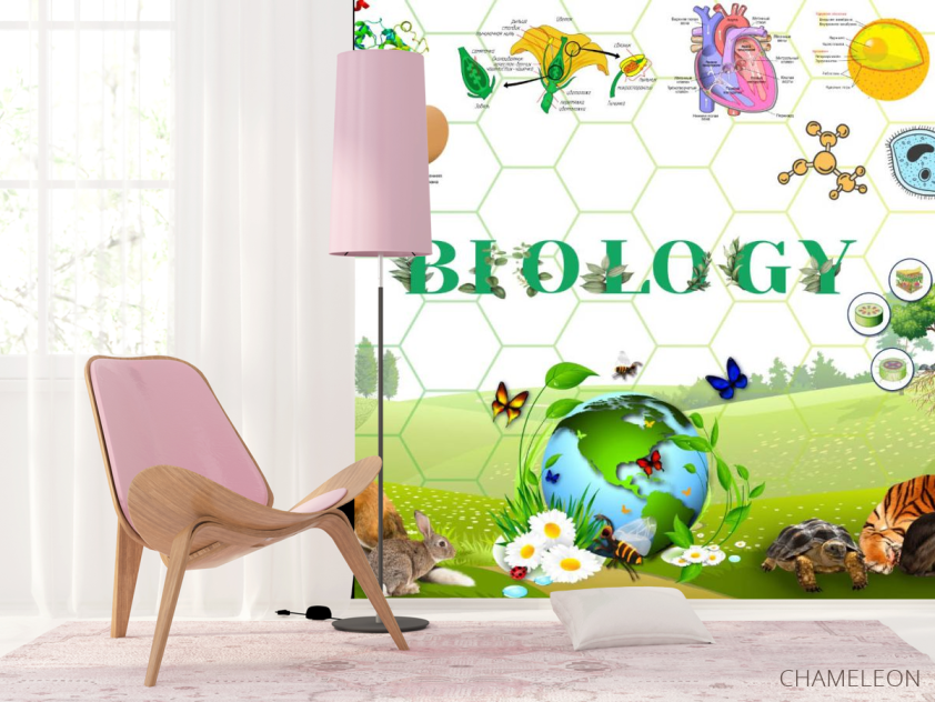 Фотошпалери Для кабінету біології - 4