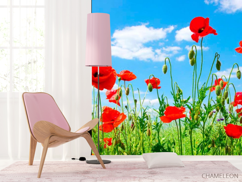 Фотошпалери Маки в степу - 4