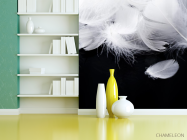 Фотошпалери білі пір'я на чорному тлі - 3