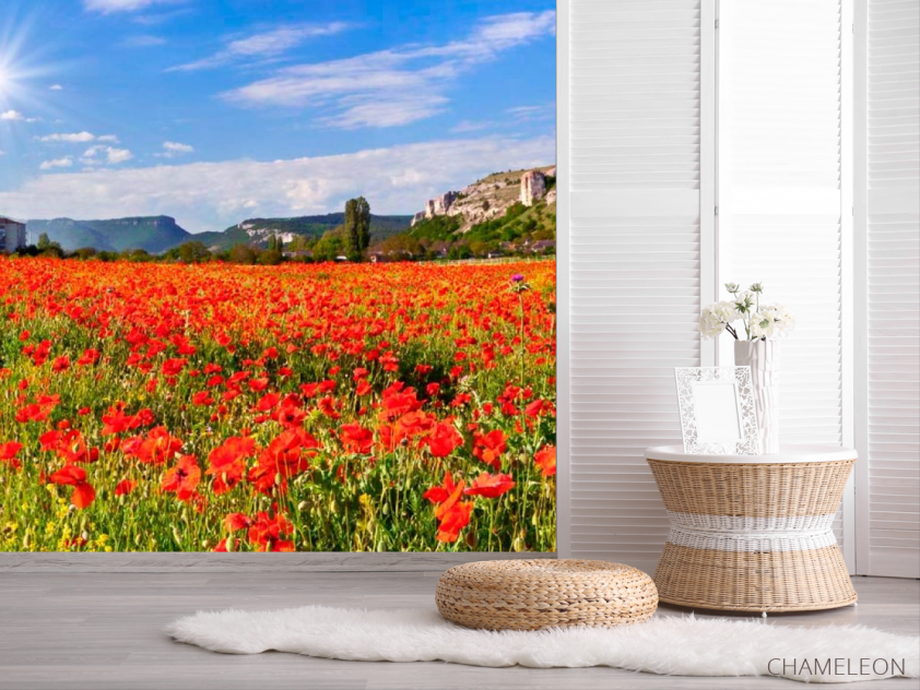 Фотошпалери Поле маків - 2