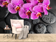 Фотообои сиреневые орхидеи на черных камнях с каплями - 4