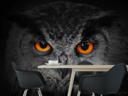 Фотошпалери сова - 1