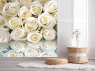 Фотошпалери Білі троянди з росою - 2