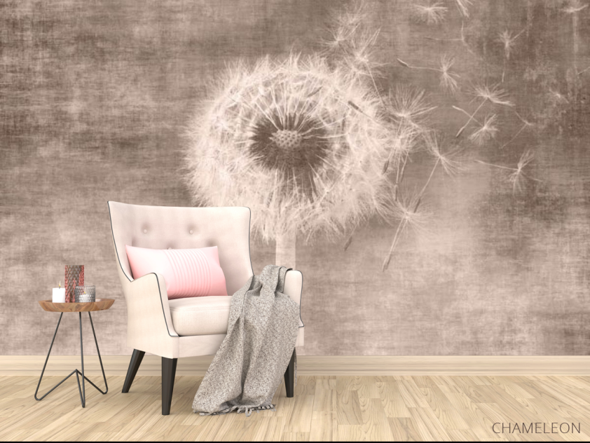 Фотообои Одуванчик сепия - 4