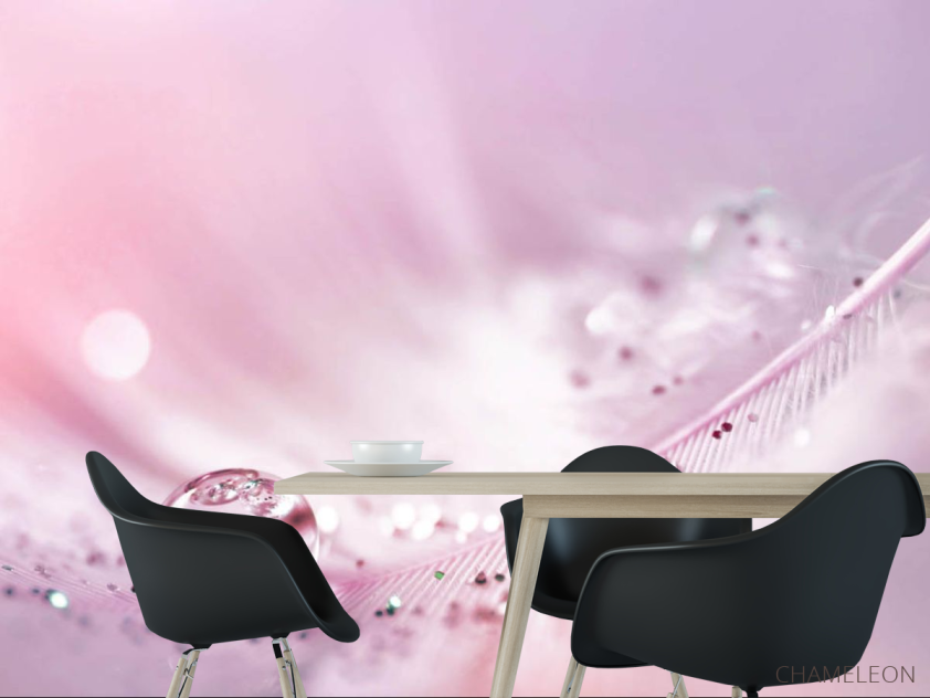 Фотошпалери Перо з росою на рожевому тлі - 1