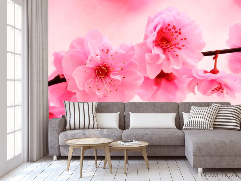 Фотообои Распустилась вишня - 3