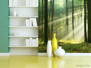 Фотошпалери сонячні промені в лісі - 3