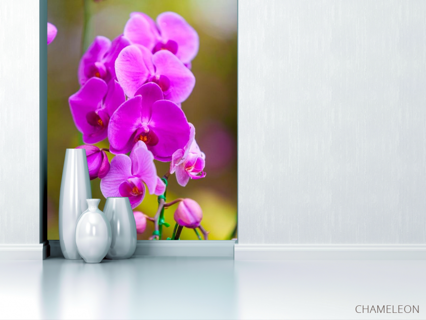 Фотообои ветка орхидеи - 1