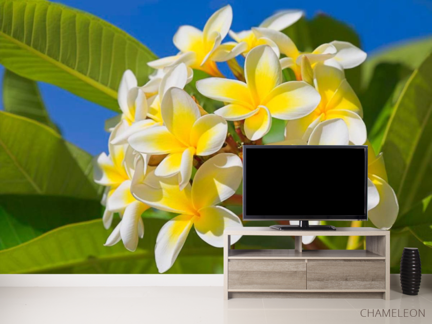 Фотообои Желто-белые цветочки - 2