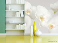 Фотошпалери Орхідеї білосніжні цвітуть - 3