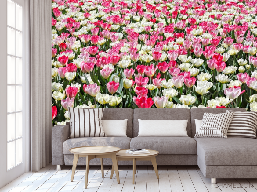 Фотообои Поле разноцветных тюльпанов - 3