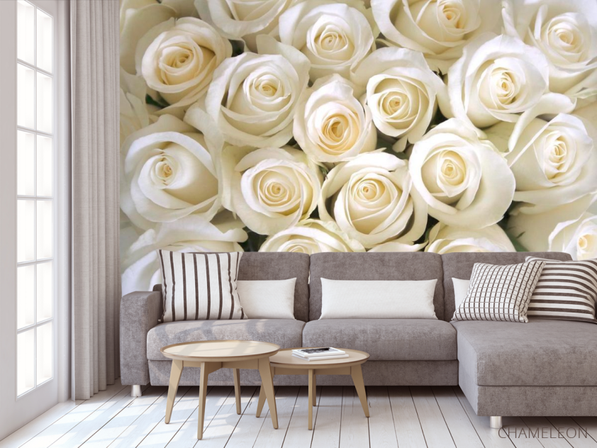 Фотообои Розы белоснежные - 3