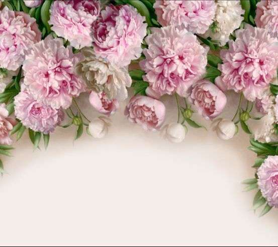 Фотообои Розовые пионы 20004