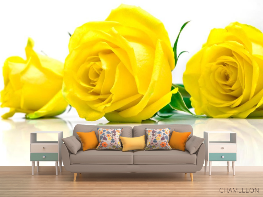Фотообои Розы желтые - 1