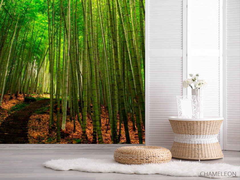 Фотошпалери Бамбук, стежка - 2