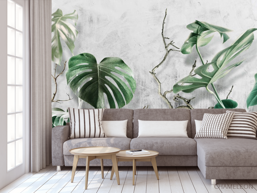 Фотообои Монстера и бетон - 3