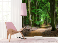 Фотообои дорога в темном лесу - 4