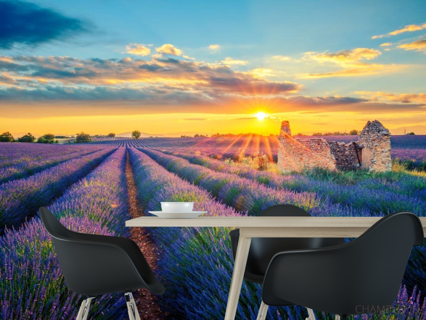 Фотошпалери зруйноване будиночок у лавандовом полі - 1