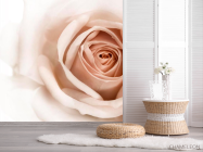Фотошпалери Роза кремово-коричневий - 2