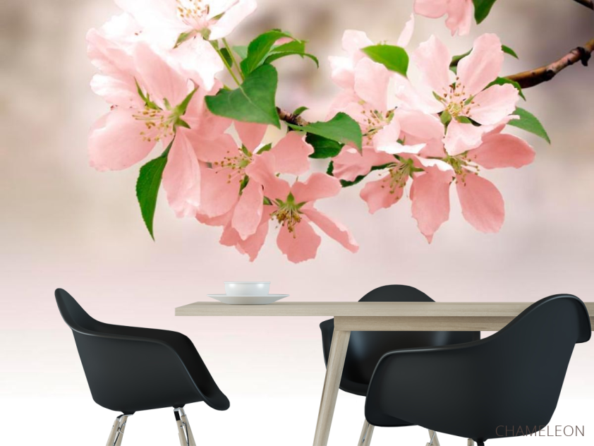 Фотообои Нежно-розовые цветки - 1