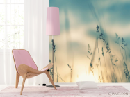 Фотошпалери сухоцвіти на заході сонця - 4