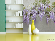 Фотошпалери Гліцинія - 3