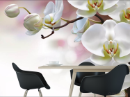 Фотошпалери Орхідеї - 1