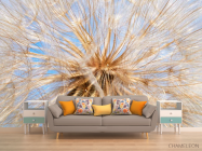 Фотообои Одуванчик - 1