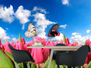 Фотошпалери Метелики і рожеві тюльпани - 1