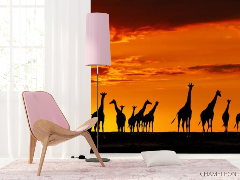 Фотошпалери багато жирафів і захід - 4