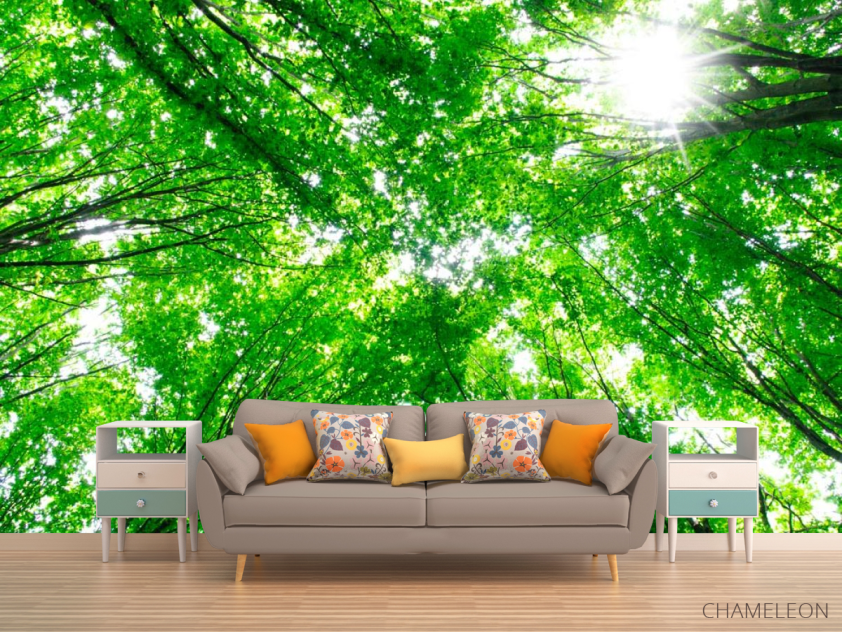 Фотообои Деревья, свет - 1