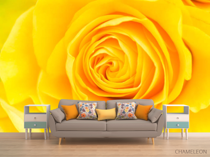 Фотообои Желтая роза крупным планом - 1