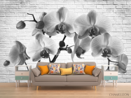 Фотообои Орхидея - 1