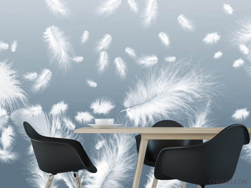 Фотошпалери білі пір'я на блакитному тлі - 1