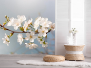 Фотошпалери Дрібні білі квіточки - 2