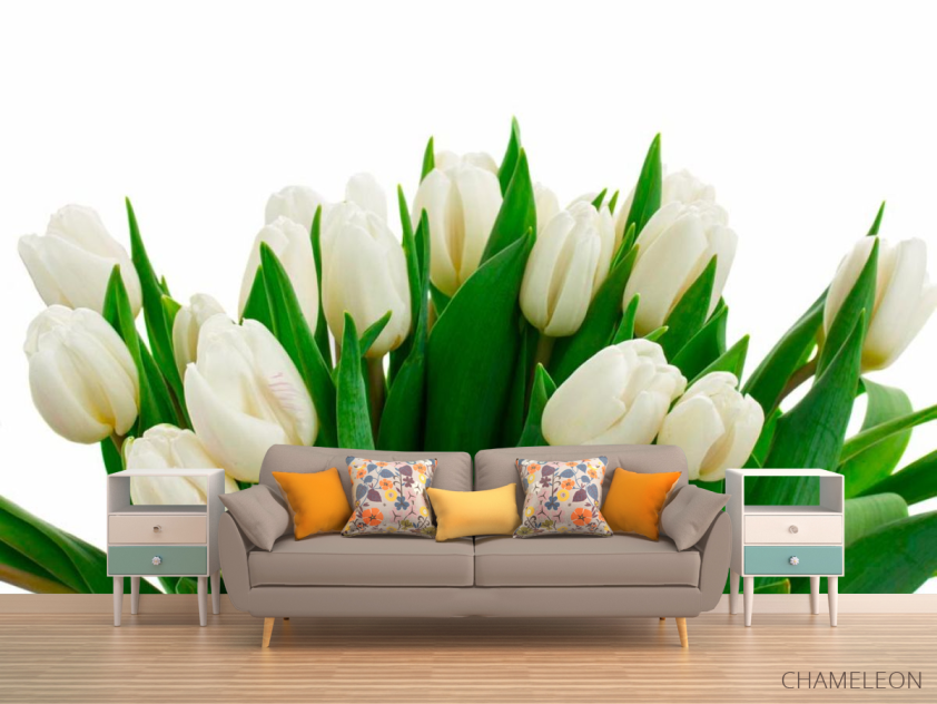 Фотообои Белые тюльпаны - 1