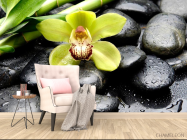 Фотообои Зеленая орхидея, камни - 4