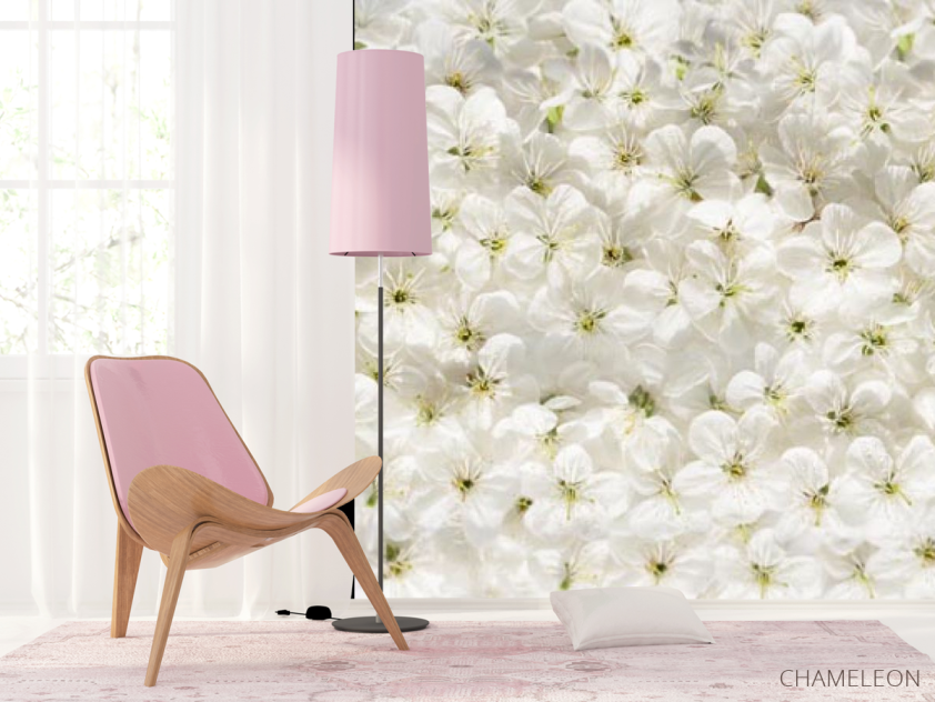 Фотошпалери білі квіти - 4