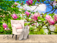 Фотообои магнолии розовые на деревьях - 4