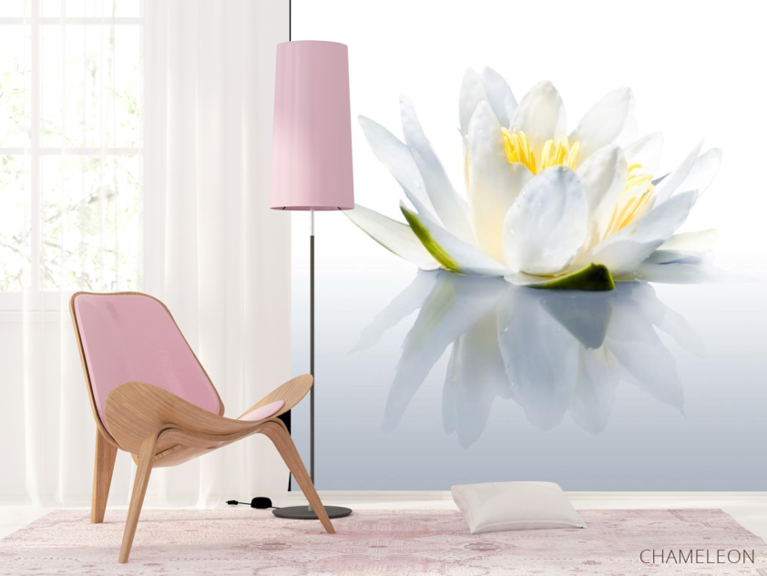 Фотошпалери водяна лілія - 4