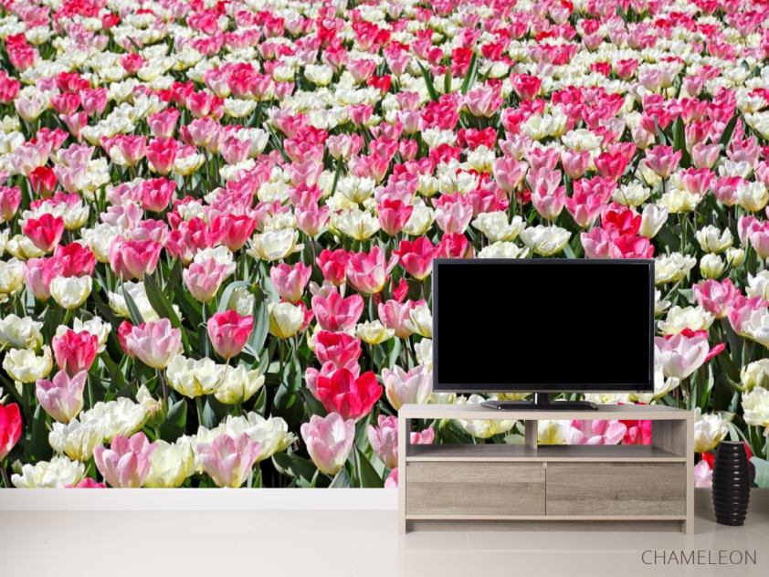 Фотообои Поле разноцветных тюльпанов - 2