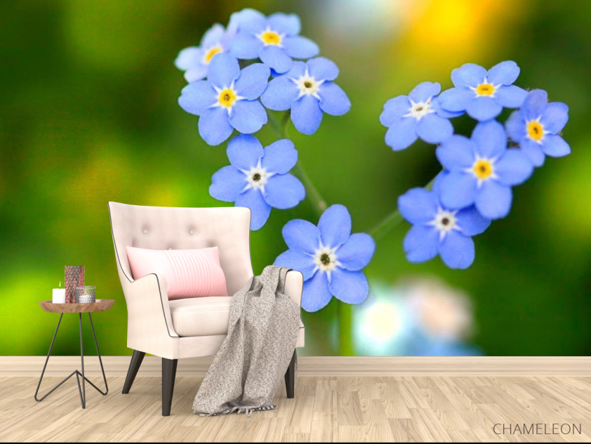 Фотообои Васильки - 4