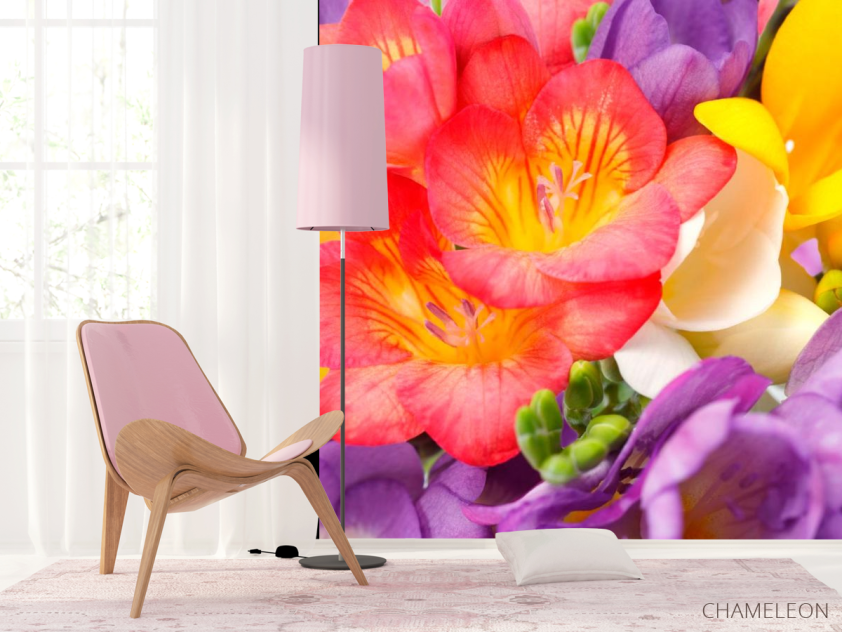 Фотошпалери Закруглені тюльпани - 4