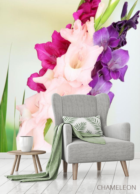 Фотообои гладиолусы - 3