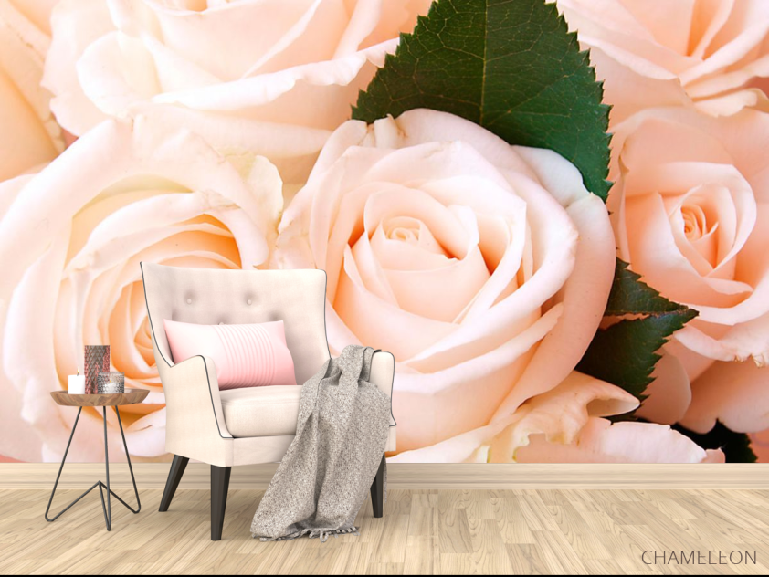 Фотообои Розы - 4