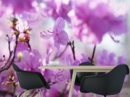 Фотошпалери бузкові квіточки на дереві - 1